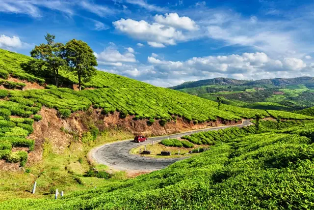 Kerala travel photo 5