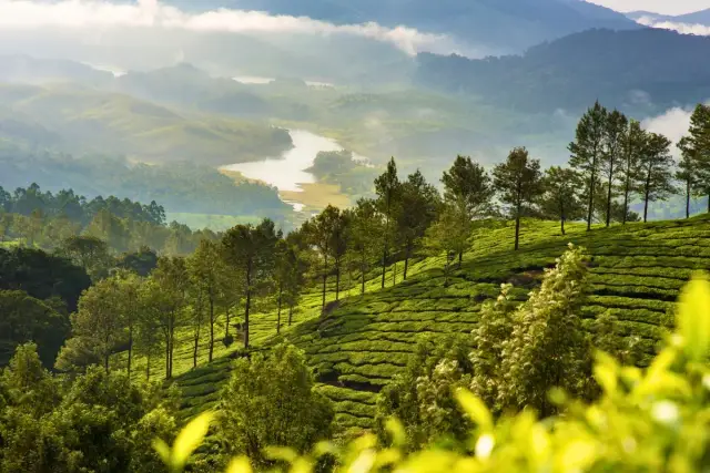 Kerala travel photo 3