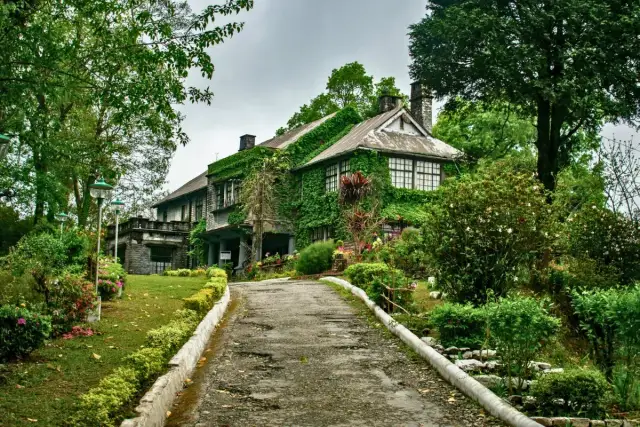 Amazing Spiritual Buddhist Monastery Kalimpong | 3 Nights 4 Days Lava Forest Tour