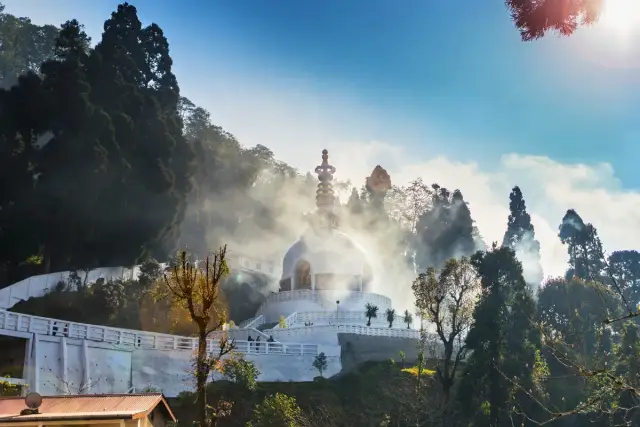 Darjeeling & Mirik Valley Expedition | Lakes & Tea Trails 2 Nights 3 Days