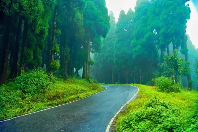 Darjeeling Hills Discovery | Tea Gardens & Mountain Sunrise 2 Nights 3 Days