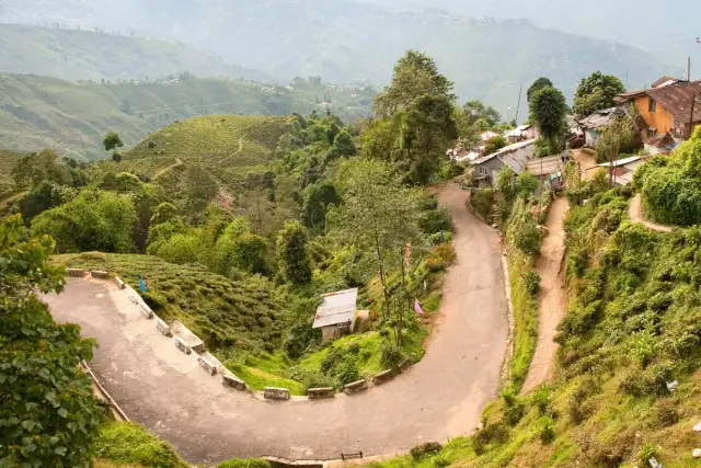 Darjeeling Tour Package & Mareybong Escape | Forest Villages Adventure 4 Nights 5 Days