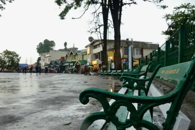 Darjeeling Packages & Pattabong Paradise | Tea Estate Immersion 4 Nights 5 Days