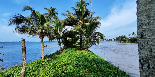 5 Days Agastyakoodam Trek Tour Package Kerala | Summit