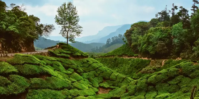 6 Deep Bekal Fort Beach Tour Package Kerala 2027 | Fierce