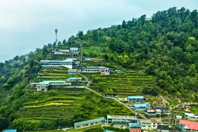 Incredible Delightful Darjeeling Tourism | 3 Nights 4 Days Samthar Homestay Tour