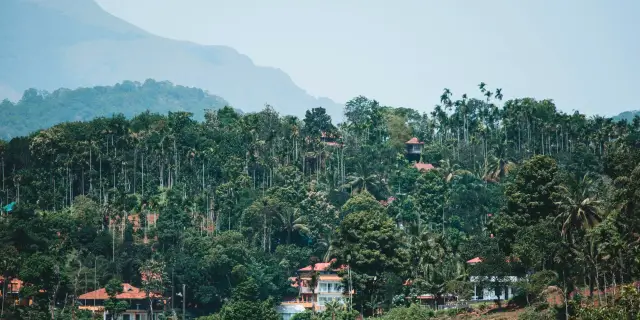 7 Kerala Ayurveda Wellness Tour Package 2027 | Restored