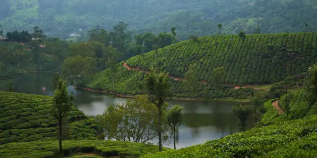 6 Days Kerala Family Tour Package 2027 | Joyful