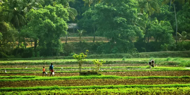 6 Days Kerala Holiday Package From Bangalore 2027 | North