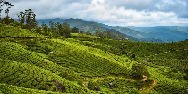 6 Kerala Offbeat Tour Package With Gavi Forest | Untamed