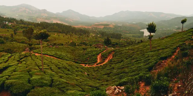 5 Days Kerala Package From Chennai 2027 | Swift