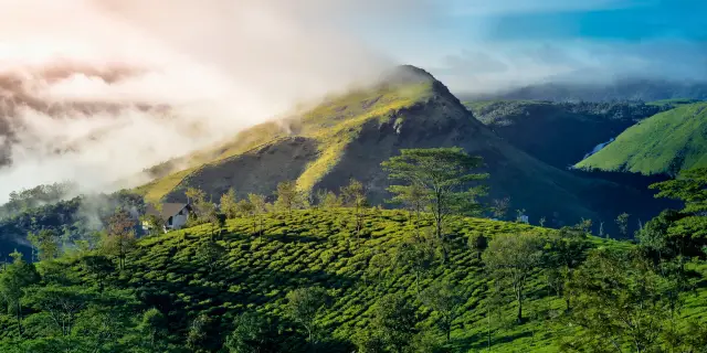 6 Days Kerala Tour Package From Jaipur 2027 | Opulent