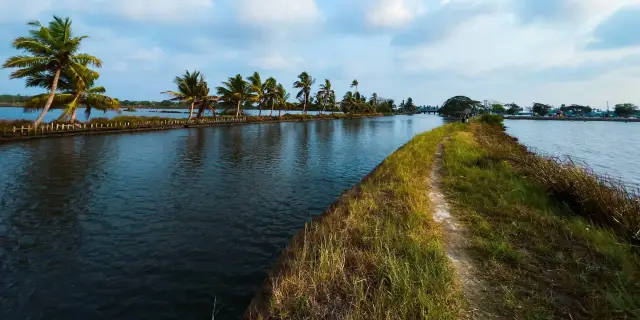 7 Days Kerala Tour Package From Kolkata 2027 | Golden