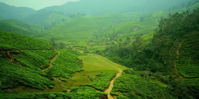 4 Days Kerala Tour Package From Surat 2027 | Fresh
