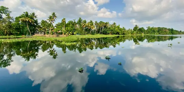 6 Days Peermade Plantation Stay Tour Kerala | Aromatic
