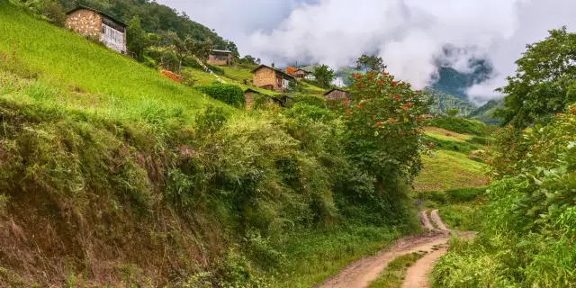 Pure 8 Days Raipur to Arunachal Tour Package | Glorious