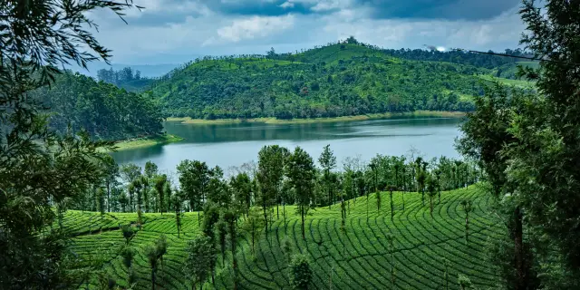 5 Days Thenmala Ecotourism Tour Package Kerala | Pioneer