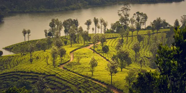 6 Days Valiyaparamba Backwater Tour Package Kerala | Island