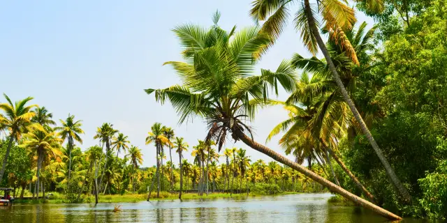 4 Days Vattavada Strawberry Village Tour Kerala | Sweet