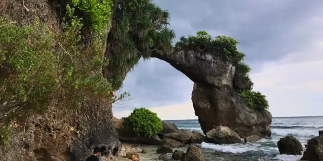 Canopy 6 Days Andaman Birding Package | Resonant