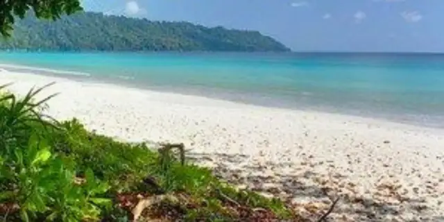 5 Day Buoyant Andaman Freediving Package | Serene