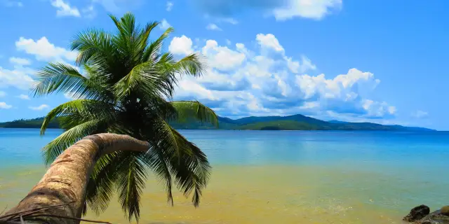 6 Day Majestic Andaman Nicobar Tour Package | Legendary