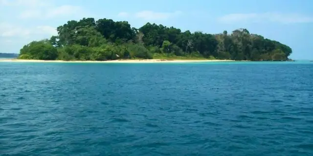 Feral 7 Days Andaman Wildlife Package | Untamed