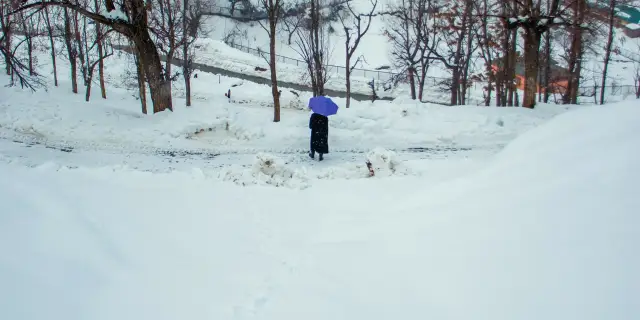Fresh 5 Days Kashmir Spring Tour Package | Dewy