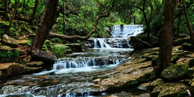 Elevated 4 Days Laitlum Canyon Trek Shillong | Arresting