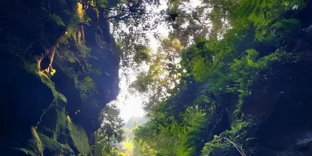 Masterful 5 Days Mawphanlur Lake Camping Meghalaya | Celestial