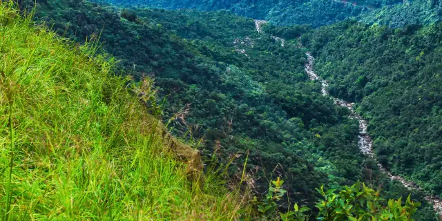 Captivating 6 Days Meghalaya Tour from Chennai | Peaceful