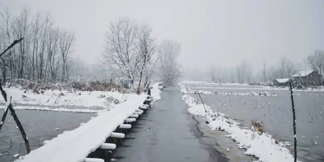 Quiet 4 Days Patnitop Kashmir Tour Package | Lone