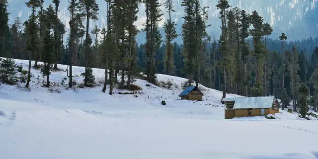 Classic 4 Days Srinagar Houseboat Kashmir Package | Dreamy